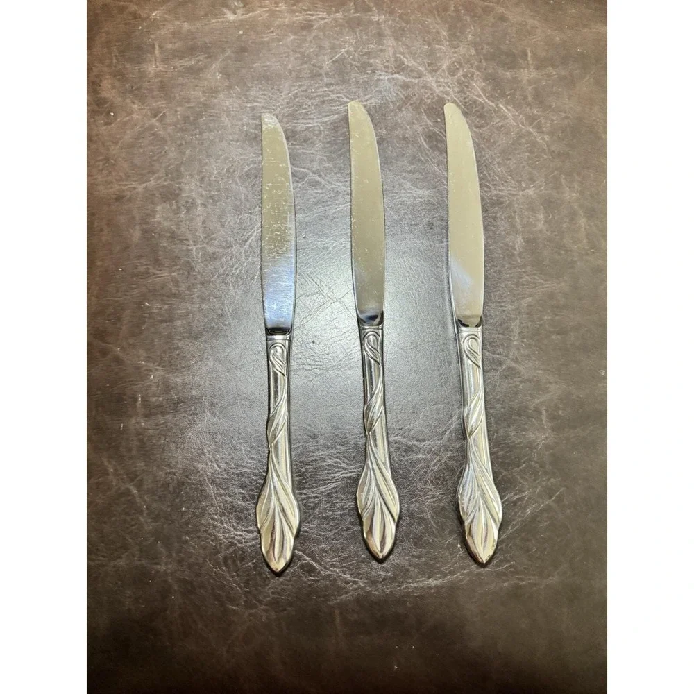 Oneida eden stainless